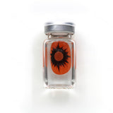 Omego Orange Sclera Lenses