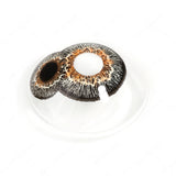 Mummy Double Iris Eye Sclera Contacts