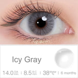 Queen Icy Gray Colored Contacts