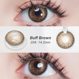 BLUSH GIRL Buff Brown Colored Contacts