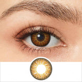 Nonno Sparkle Brown Colored Contacts