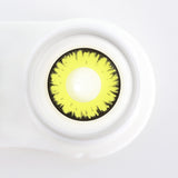 New Moon Halloween Contacts for Twilight