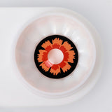 Petal Pattern Contact Lenses