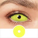 Yellow Sclera Lenses
