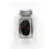 Redlash Black Sclera Lenses