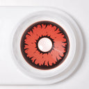 Angry Wolf Sclera Lenses