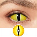 Snake Sclera Lenses