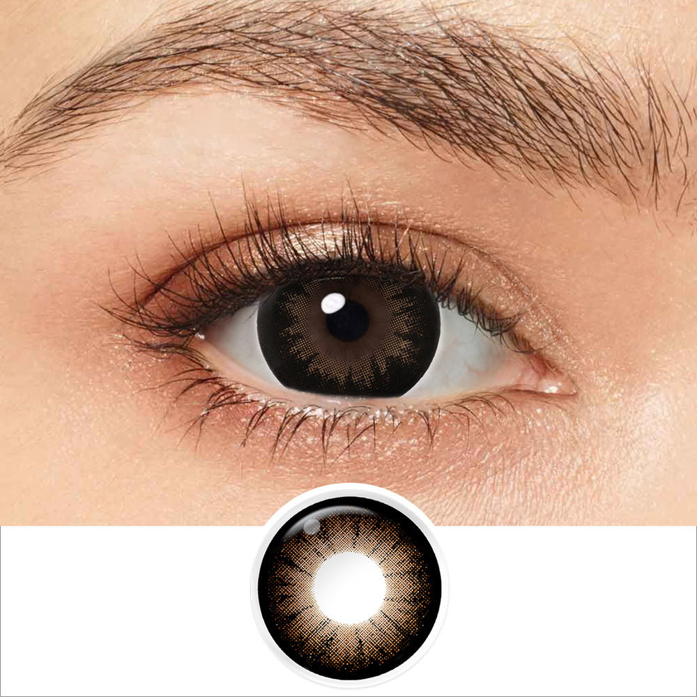 BANGOR dark brown 36-34レングス80 Supersize Brown Plus Colored Contacts – FreshGo