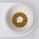 Leopard Grain Halloween Contacts