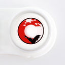 blood bat halloween contacts with real shot