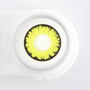 New Moon Halloween Contacts for Twilight