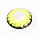 New Moon Halloween Contacts for Twilight